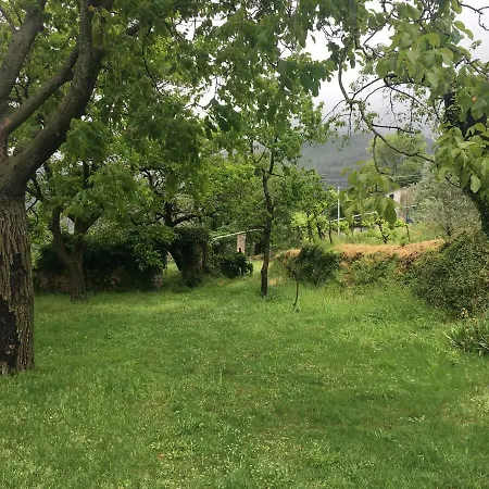 Casolare Uliveto Hébergement de vacances Cava deʼ Tirreni